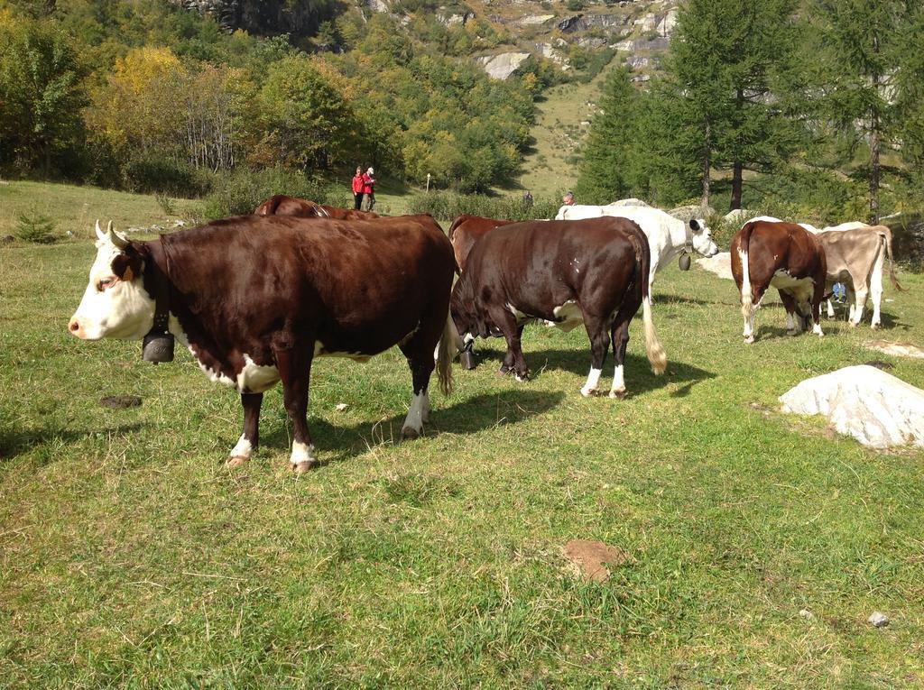 B&B Monte Giove فورمازا المظهر الخارجي الصورة